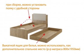 Дуглас (подростковая) М14 Кровать в Соликамске - solikamsk.mebel-74.com | фото