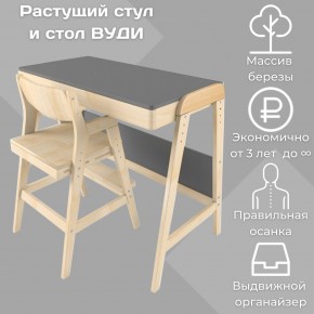 Комплект растущий стол и стул 38 попугаев «Вуди» (Серый, Без покрытия) в Соликамске - solikamsk.mebel-74.com | фото