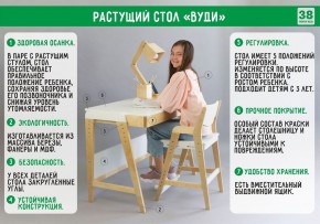 Комплект растущий стол и стул 38 попугаев «Вуди» (Серый, Без покрытия) в Соликамске - solikamsk.mebel-74.com | фото