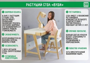 Комплект растущий стол и стул с чехлом 38 попугаев «Вуди» (Белый, Белый, Салют) в Соликамске - solikamsk.mebel-74.com | фото