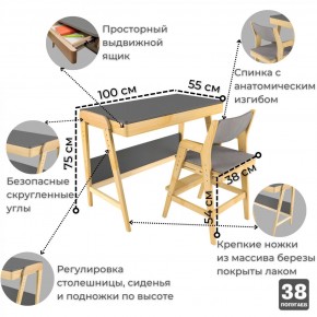 Комплект растущий стол и стул с чехлом 38 попугаев «Вуди» (Серый, Береза, Серый) в Соликамске - solikamsk.mebel-74.com | фото