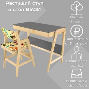 Комплект растущий стол и стул с чехлом 38 попугаев «Вуди» (Серый, Без покрытия, Монстры) в Соликамске - solikamsk.mebel-74.com | фото