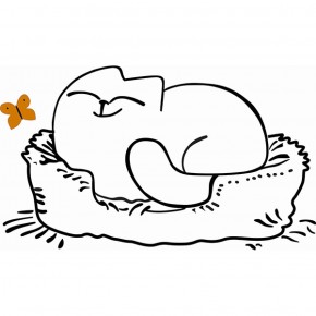 Кровать двухуровневая Кот № 900.1 ЛЕВАЯ (туя светлая/белый) в Соликамске - solikamsk.mebel-74.com | фото