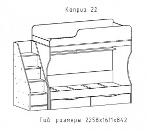 КАПРИЗ-22 Кровать двухъярусная 800 настил ЛДСП в Соликамске - solikamsk.mebel-74.com | фото