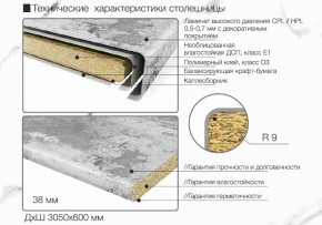 Кухонный фартук со столешницей (А-01) в едином стиле (3050 мм) в Соликамске - solikamsk.mebel-74.com | фото