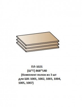 ПЛ-1021 (Комплект полок из 3 шт для ШК-1001, 1002, 1003, 1004, 1005, 1007) в Соликамске - solikamsk.mebel-74.com | фото