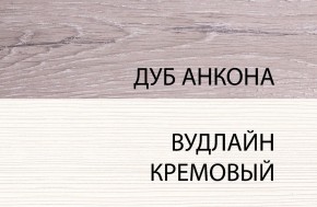 Шкаф 1DG, OLIVIA, цвет вудлайн крем/дуб анкона в Соликамске - solikamsk.mebel-74.com | фото