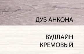 Шкаф 1DW, OLIVIA, цвет вудлайн крем/дуб анкона в Соликамске - solikamsk.mebel-74.com | фото