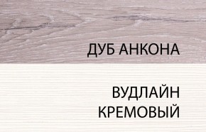 Шкаф 2DG, OLIVIA, цвет вудлайн крем/дуб анкона в Соликамске - solikamsk.mebel-74.com | фото
