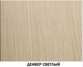 Шкаф для одежды №609 "Инна" Денвер светлый (*без полок) в Соликамске - solikamsk.mebel-74.com | фото