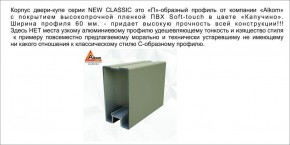 Шкаф-купе 1700 серии NEW CLASSIC K3+K3+B2+PL1 (2 ящика+1 штанга) профиль «Капучино» в Соликамске - solikamsk.mebel-74.com | фото