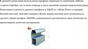 Шкаф-купе 1700 серии SILVER S5+S5+B2+PL3 (2 ящика+2 штанги) профиль «Серебро» в Соликамске - solikamsk.mebel-74.com | фото