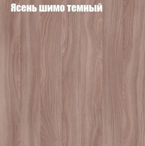 Шкаф-купе «ТАНДЕМ» 2-х дверный в алюминиевом профиле (Дверь К+К) 1200/h2200 в Соликамске - solikamsk.mebel-74.com | фото