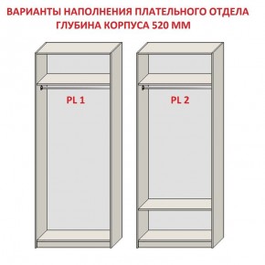 Шкаф распашной серия «ЗЕВС» (PL3/С1/PL2) в Соликамске - solikamsk.mebel-74.com | фото