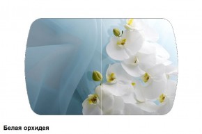 Стол Бостон 900*600 (опоры Брифинг) Стекло/фотопечать Белая Орхидея в Соликамске - solikamsk.mebel-74.com | фото
