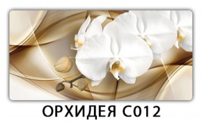 Стол раздвижной Трилогия с фотопечатью Доска D112 в Соликамске - solikamsk.mebel-74.com | фото