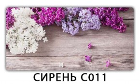 Стол раздвижной Трилогия с фотопечатью Орхидея R041 в Соликамске - solikamsk.mebel-74.com | фото