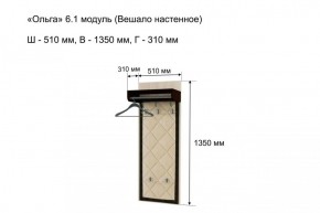 Вешало настенное "Ольга 6.1" в Соликамске - solikamsk.mebel-74.com | фото